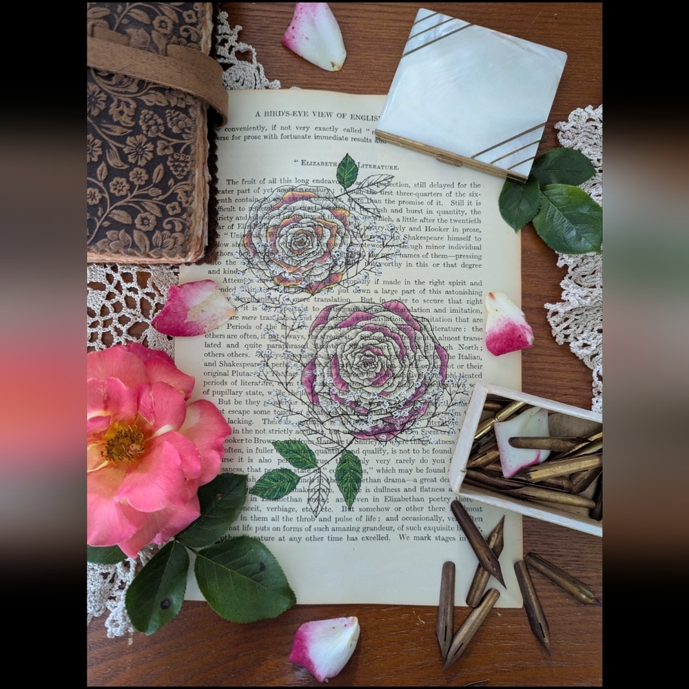 Original Artwork Roses Drawn On Antique Paper Antique Florals Collection